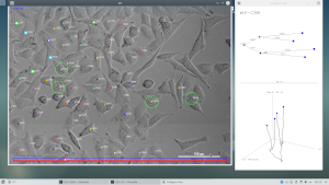 GLOBE_3D's GL layer used for biocomputing imaging